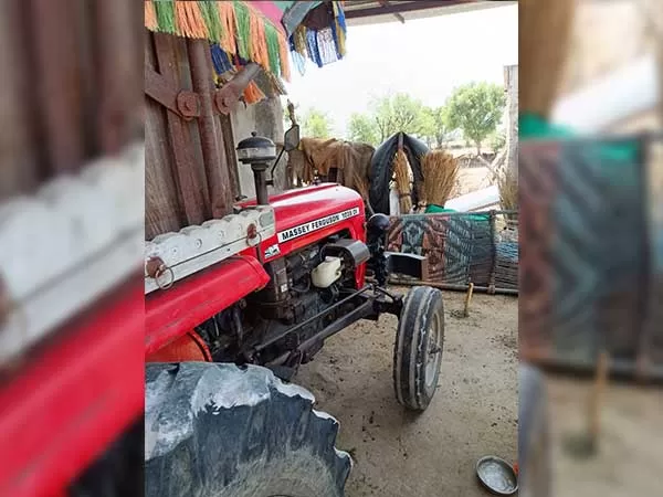 Tafe (Massey) Massey Ferguson 1035 DI 2013