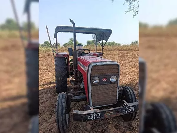 Tafe (Massey) Massey Ferguson 245 DI 2019