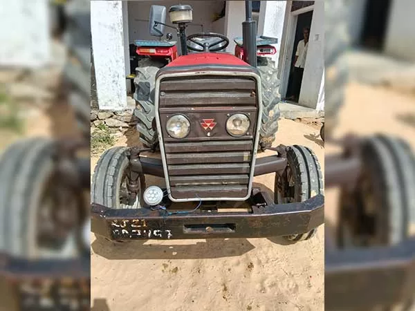Tafe (Massey) Massey Ferguson 241 DI 2016