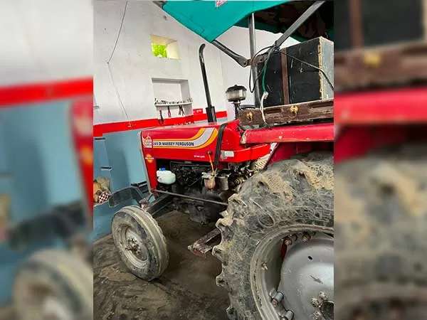 Tafe (Massey) Massey Ferguson 241 DI 2014