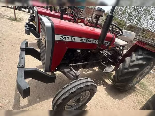 Tafe (Massey) Massey Ferguson 241 DI 2019