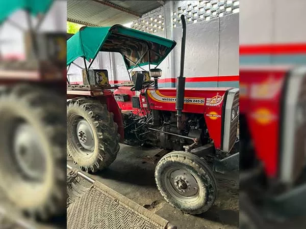 Tafe (Massey) Massey Ferguson 241 DI 2014