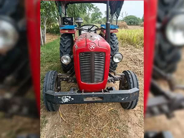 Tafe (Massey) Massey Ferguson 1035 DI 2013