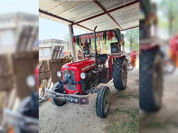 Tafe (Massey) Massey Ferguson 1035 DI 2013