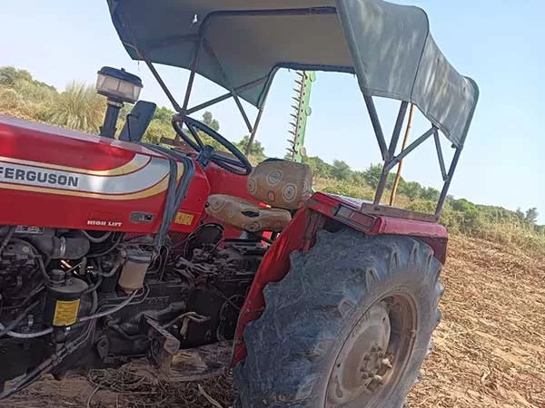 Tafe (Massey) Massey Ferguson 245 DI 2019