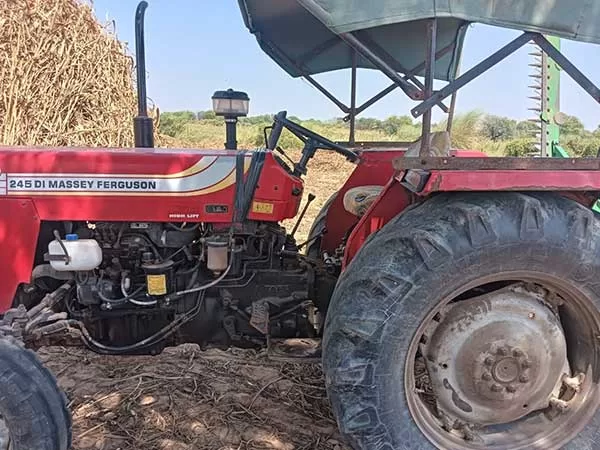 Tafe (Massey) Massey Ferguson 245 DI 2019
