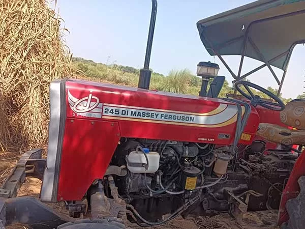 Tafe (Massey) Massey Ferguson 245 DI 2019