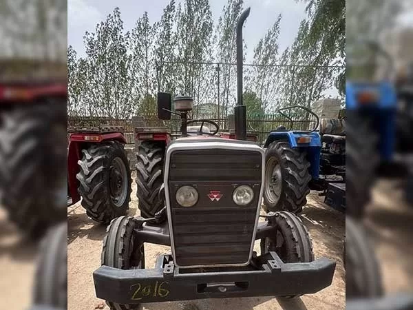 Tafe (Massey) Massey Ferguson 241 DI 2019