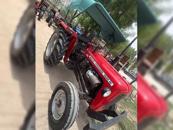 Tafe (Massey) Massey Ferguson 1035 DI 2020
