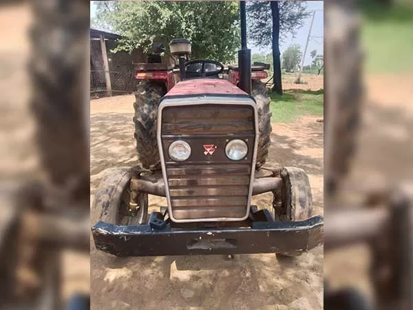 Tafe (Massey) Massey Ferguson 241 DI 2016