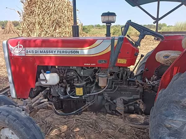 Tafe (Massey) Massey Ferguson 245 DI 2019
