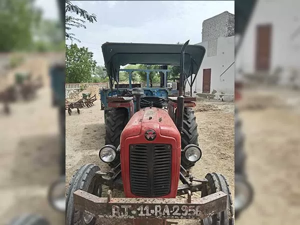 Tafe (Massey) Massey Ferguson 1035 DI 2011