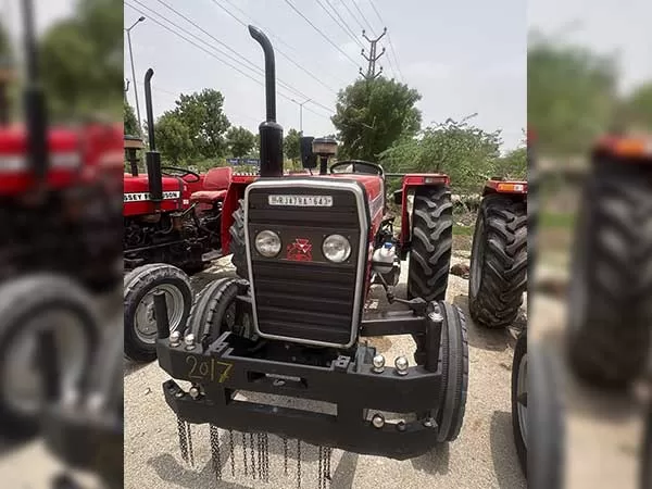 Tafe (Massey) Massey Ferguson 245 DI 2017