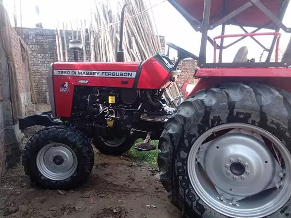 Tafe (Massey) Massey Ferguson 7250 DI Power Up 2024