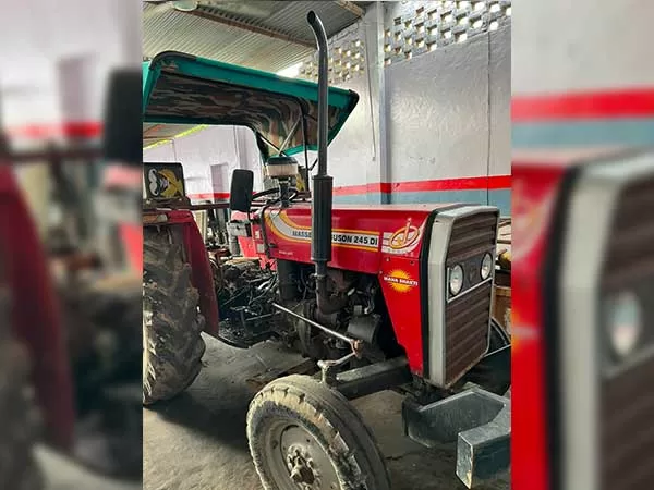 Tafe (Massey) Massey Ferguson 241 DI 2014