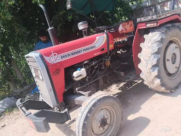 Tafe (Massey) Massey Ferguson 245 DI 2022