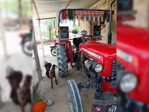 Tafe (Massey) Massey Ferguson 1035 DI 2013